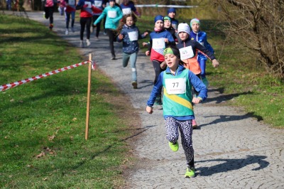 Budilová Anežka, Houdková Emílie