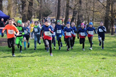 Dušánek Daniel, Vykydalová Claudie, Kaplánek Dominik, Provazník Ondřej, Doseděl Tomáš