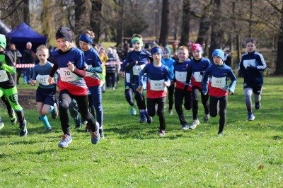 Provazník Ondřej, Kovář Filip, Doseděl Tomáš, Dušek Tomáš